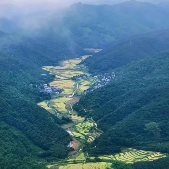 大汉