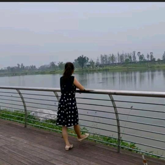 夏雨落