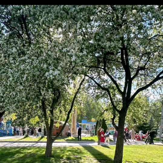 520我们一起约会吧！