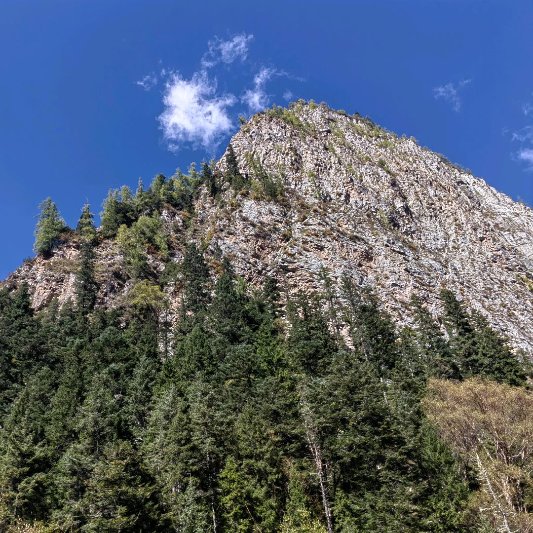 好物优选（金融中心店）