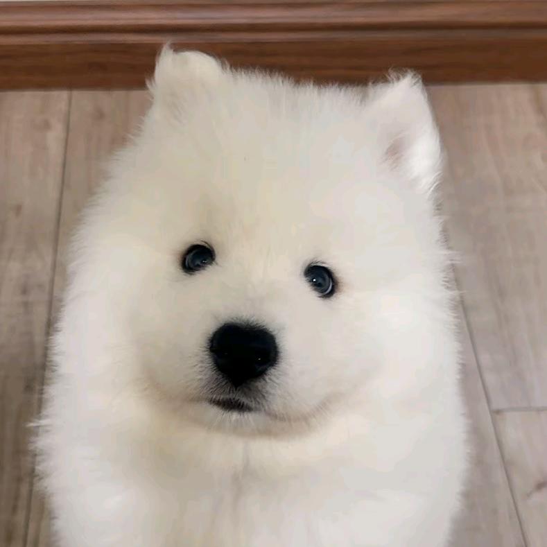 :-)头像