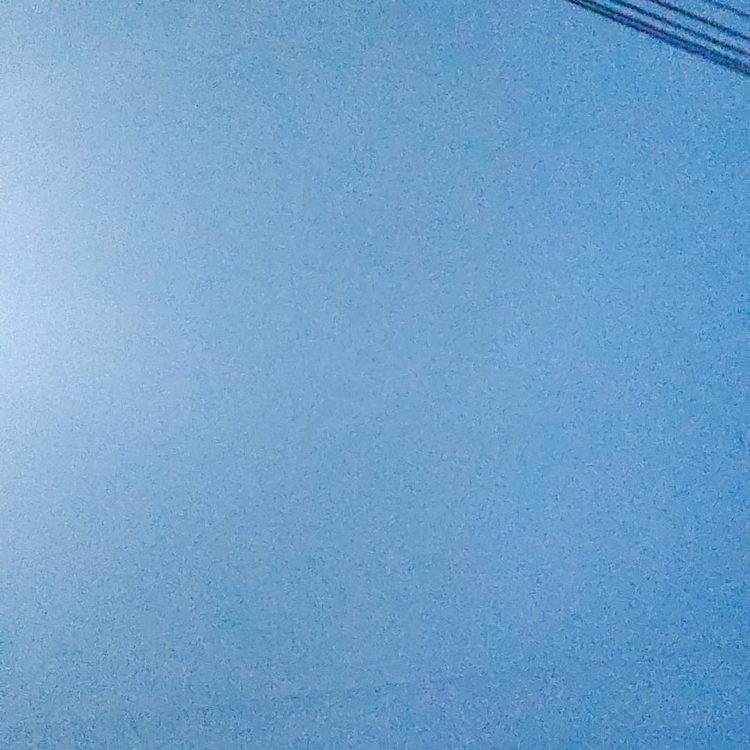 小蝴