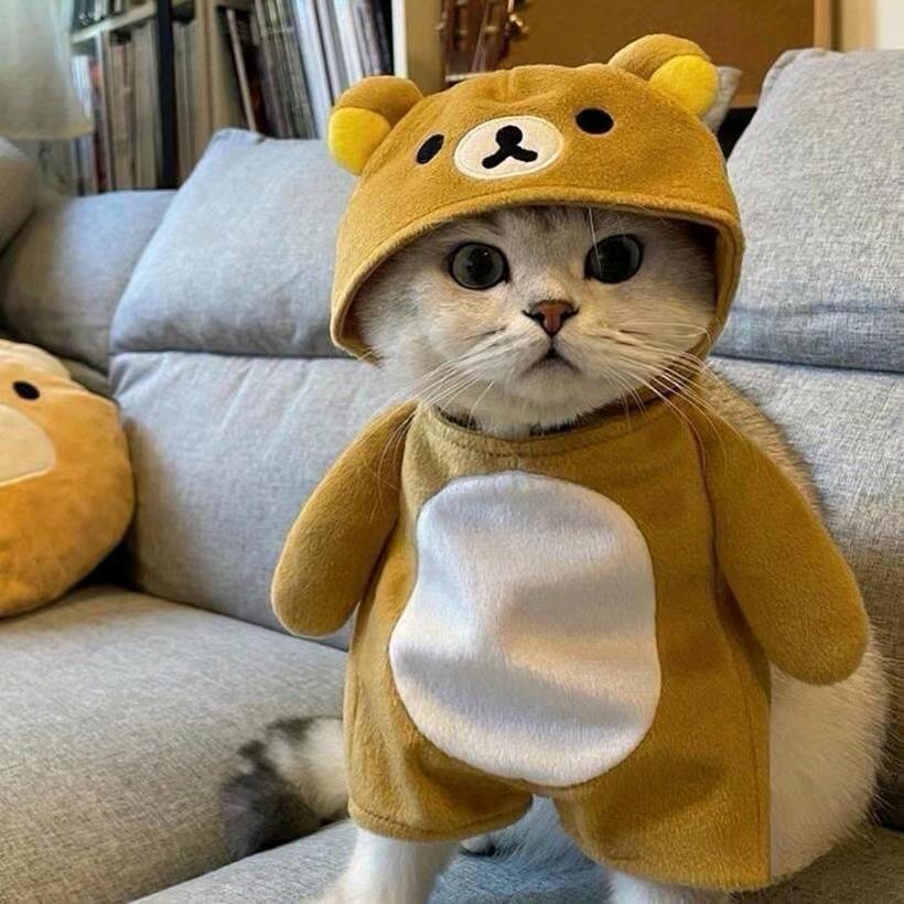 JIA追梦少年