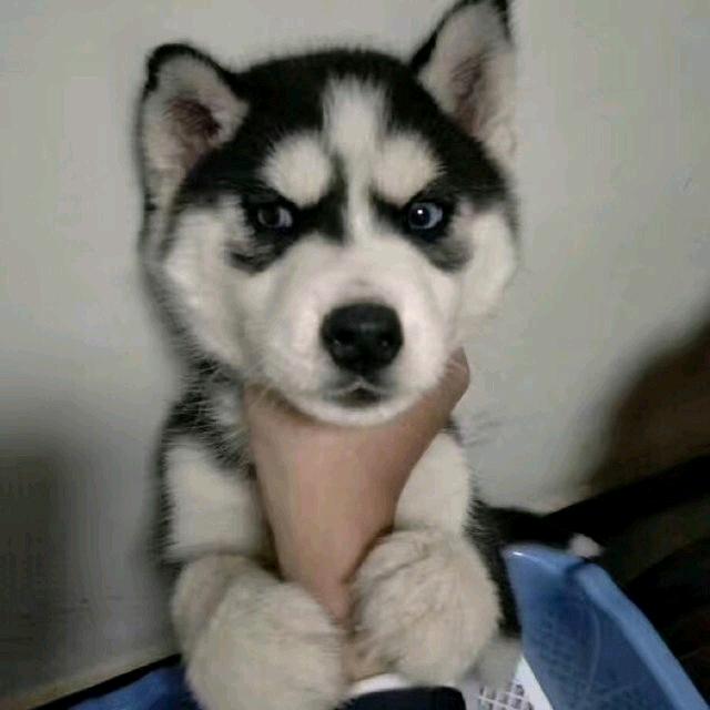 幸福都是奋斗出来的