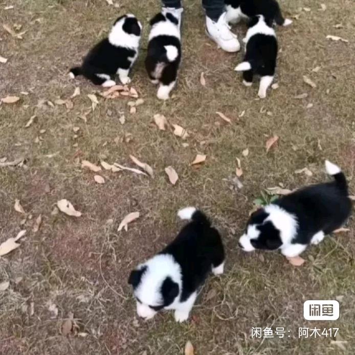 回味无穷
