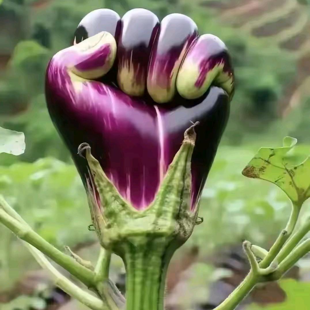 流年似年古玩杂项