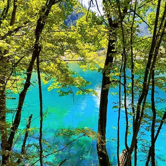 江晨