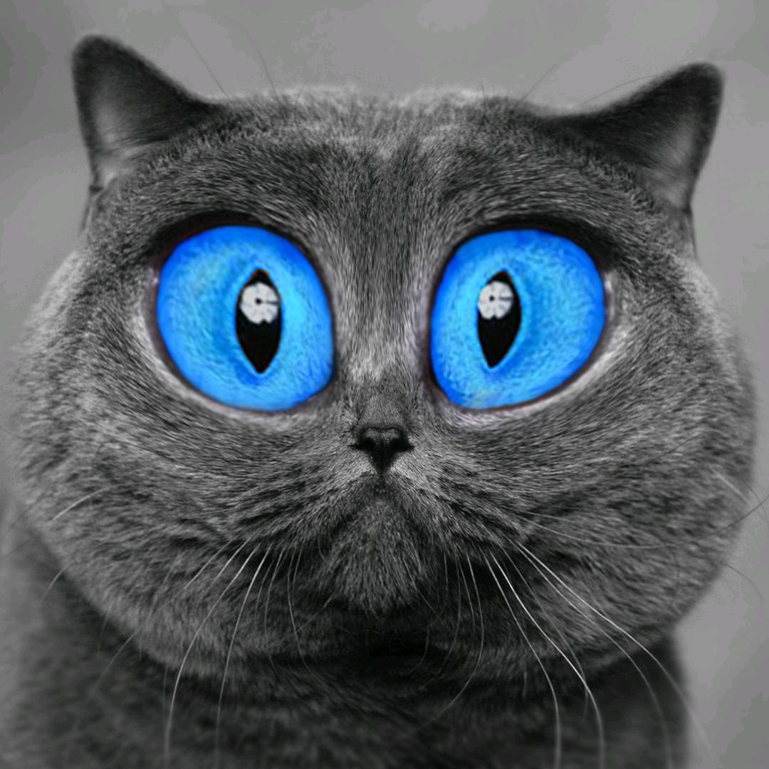 陪孩子一起成长