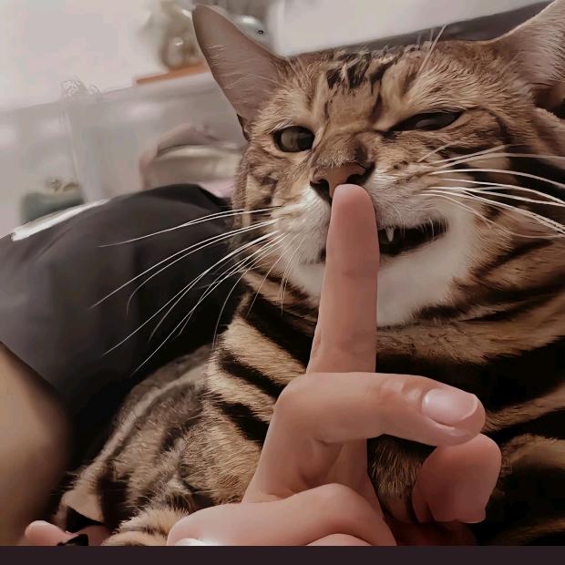 睡个好觉