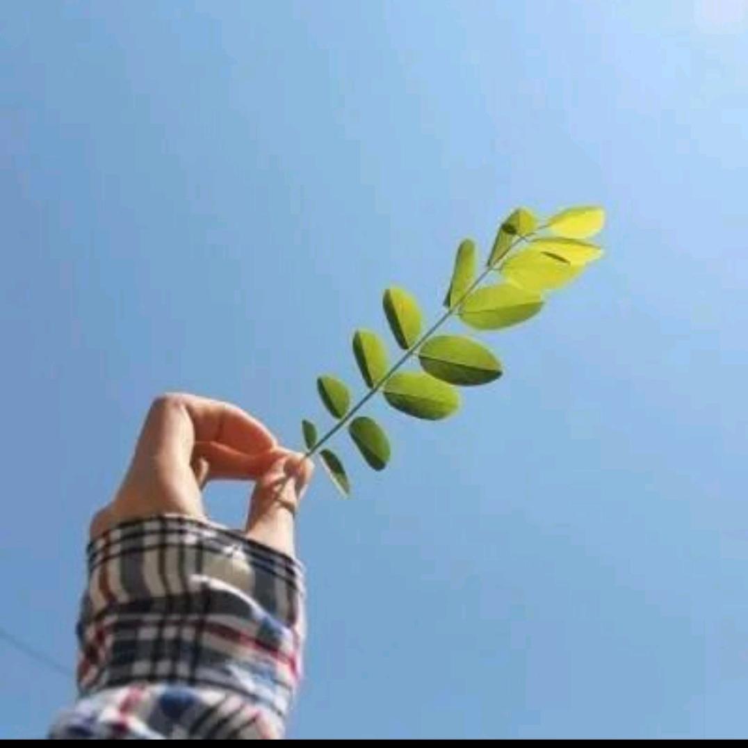 💖慧中秀外😂