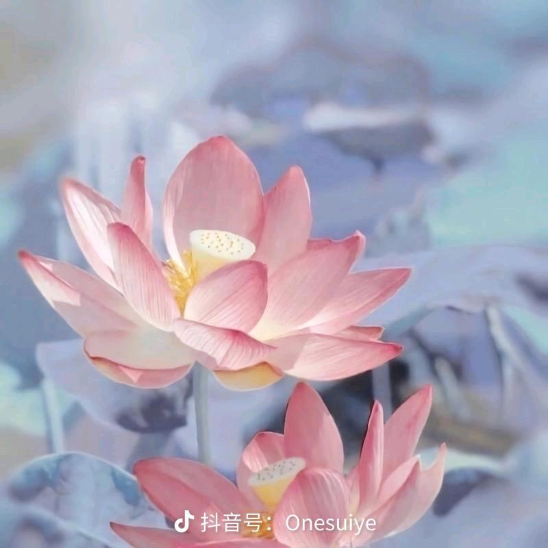 有你真好，来自贵州赤水，60后