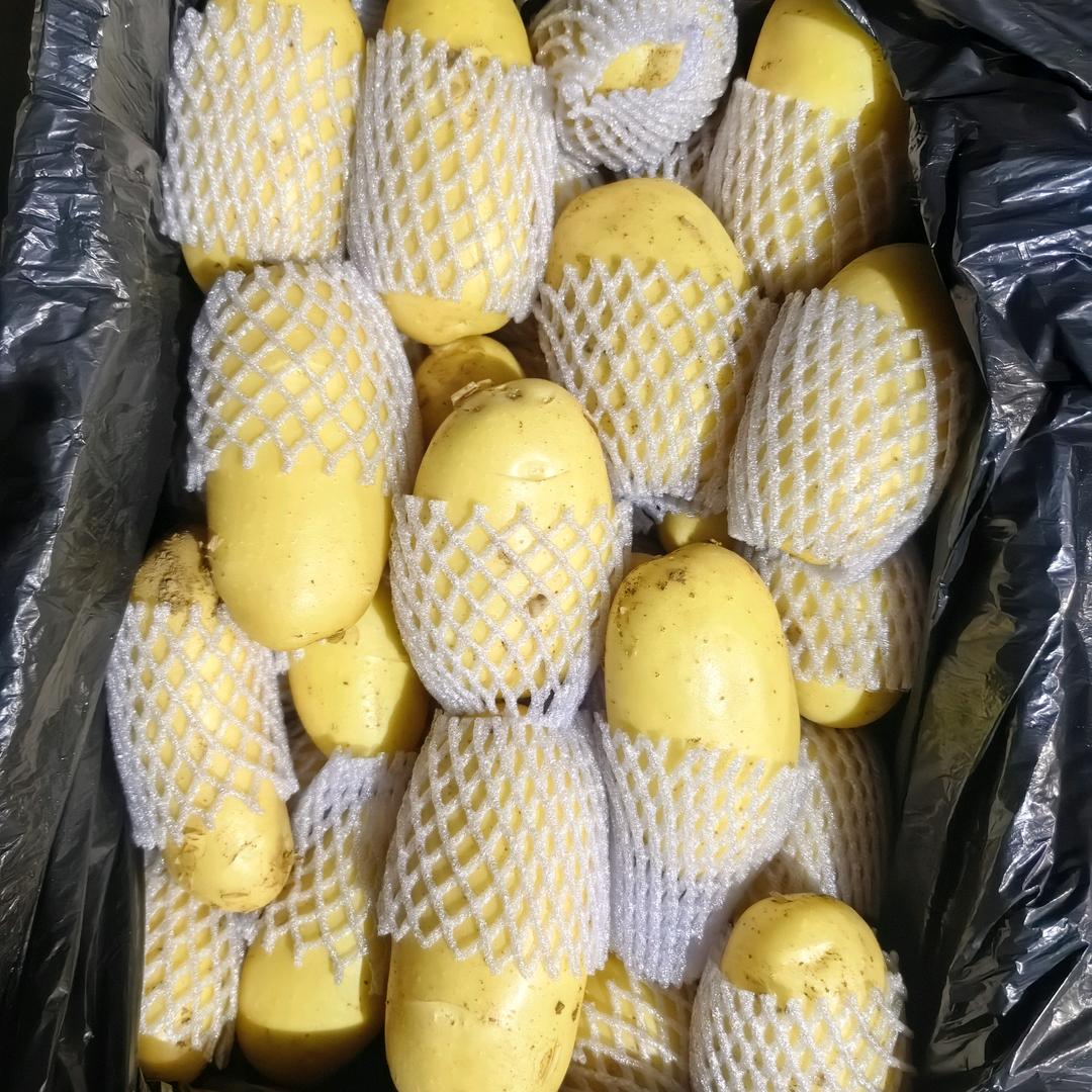 滕州市建国果蔬种植专业合作社