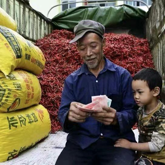 70后兵支书助农（石柱县河嘴乡同心村）