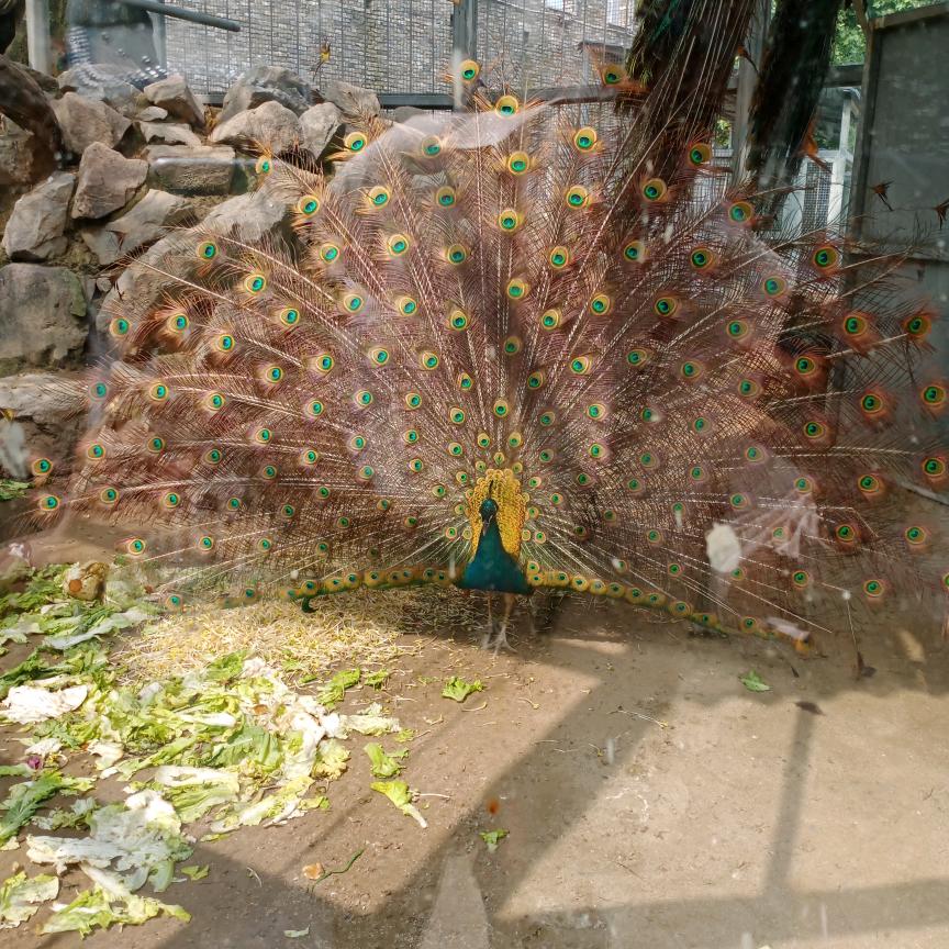 单身妈妈的坚强