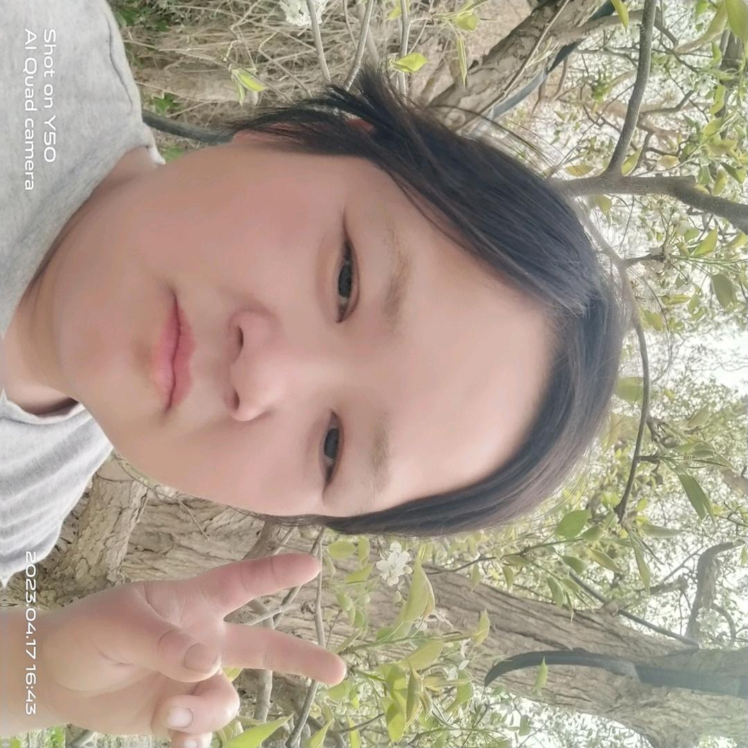 小胖香梨