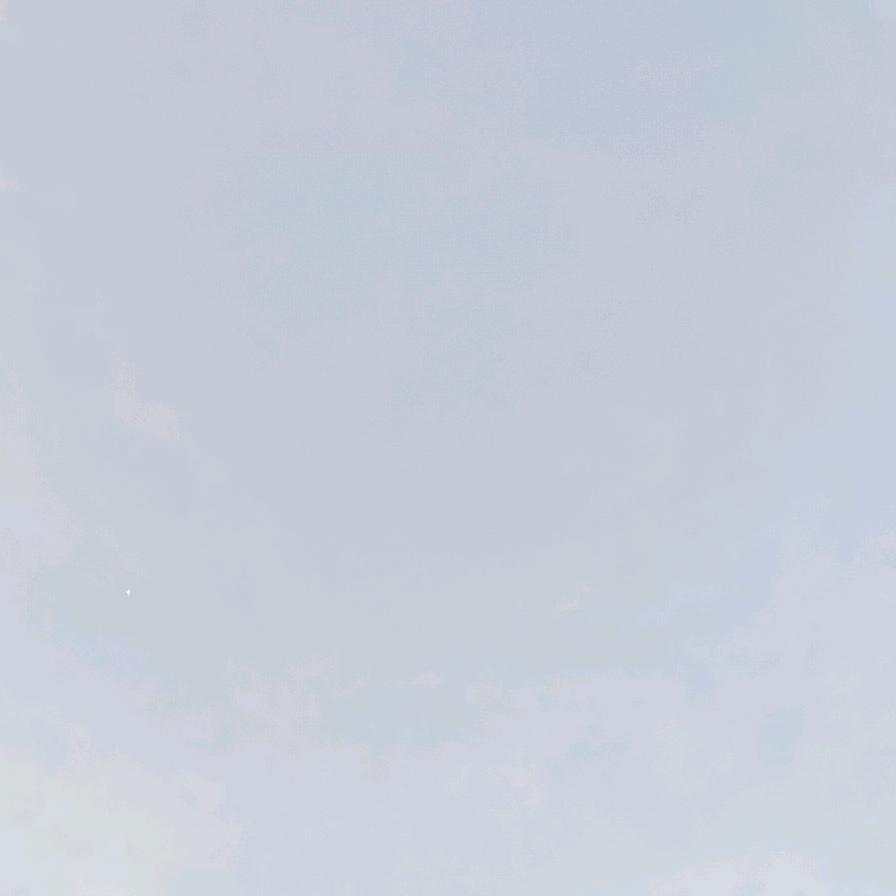 小菠萝头