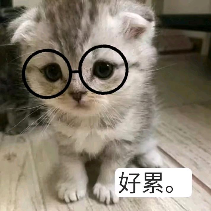 翻篇.