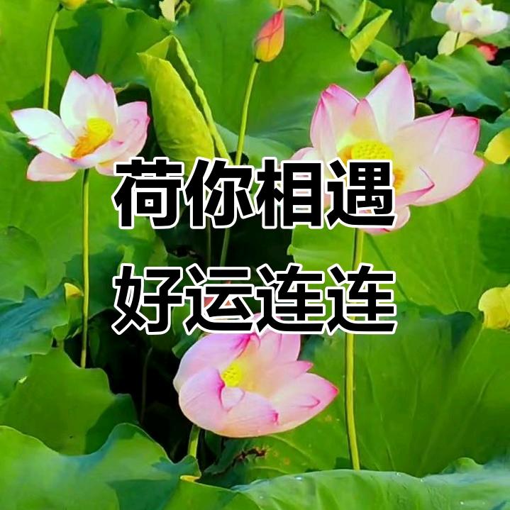 好运🍎🍎连连🍋🍋