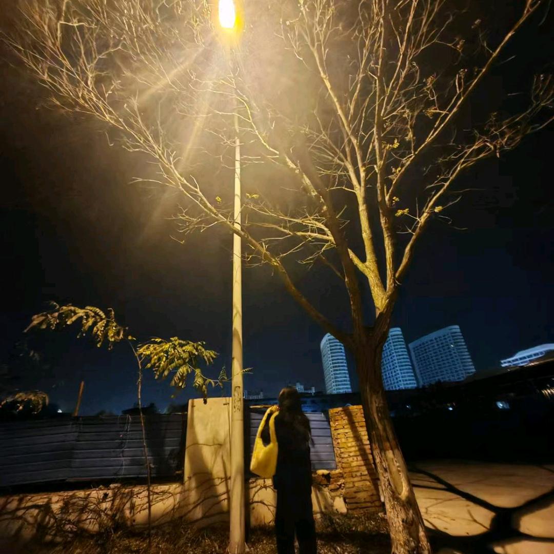 许多钱.