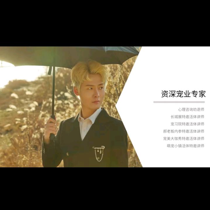 小卞老师宠业指导