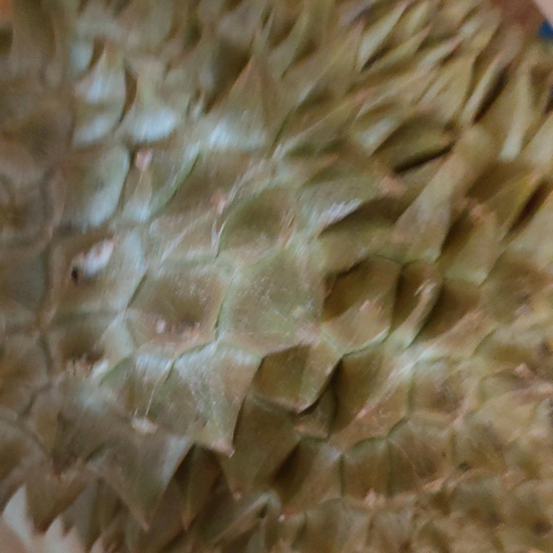 开心快乐每一天！