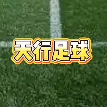 天行足球