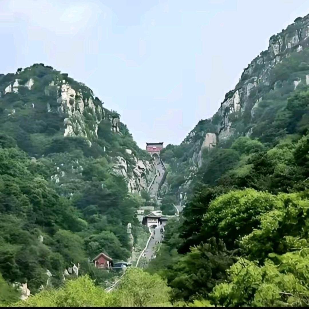 卍缘卍来卍缘卍去卍