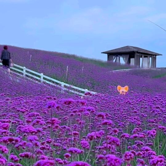 钱多多💰💰💰💰