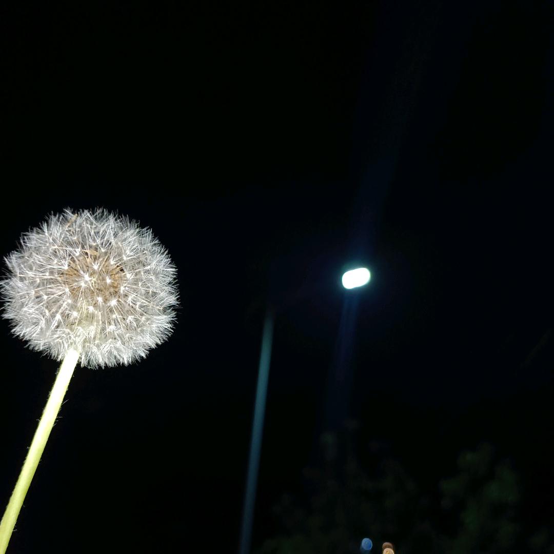 人生道场