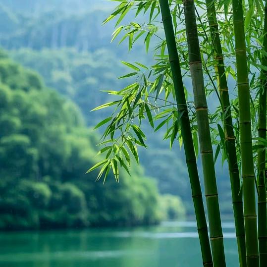 静心