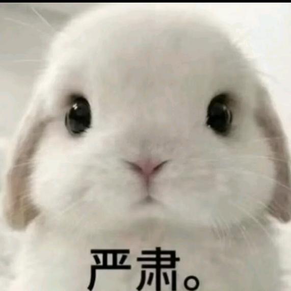 嗯嗯。头像