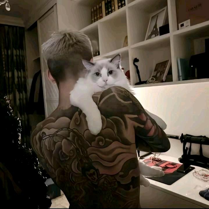 𝖝𝖎𝖆𝖔扎⚜️