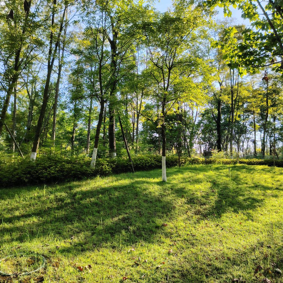 不能承受的生命之轻