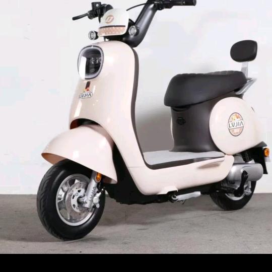 电动车批发零售