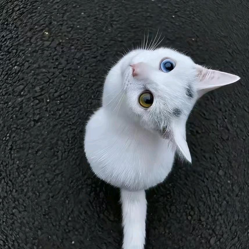>u<