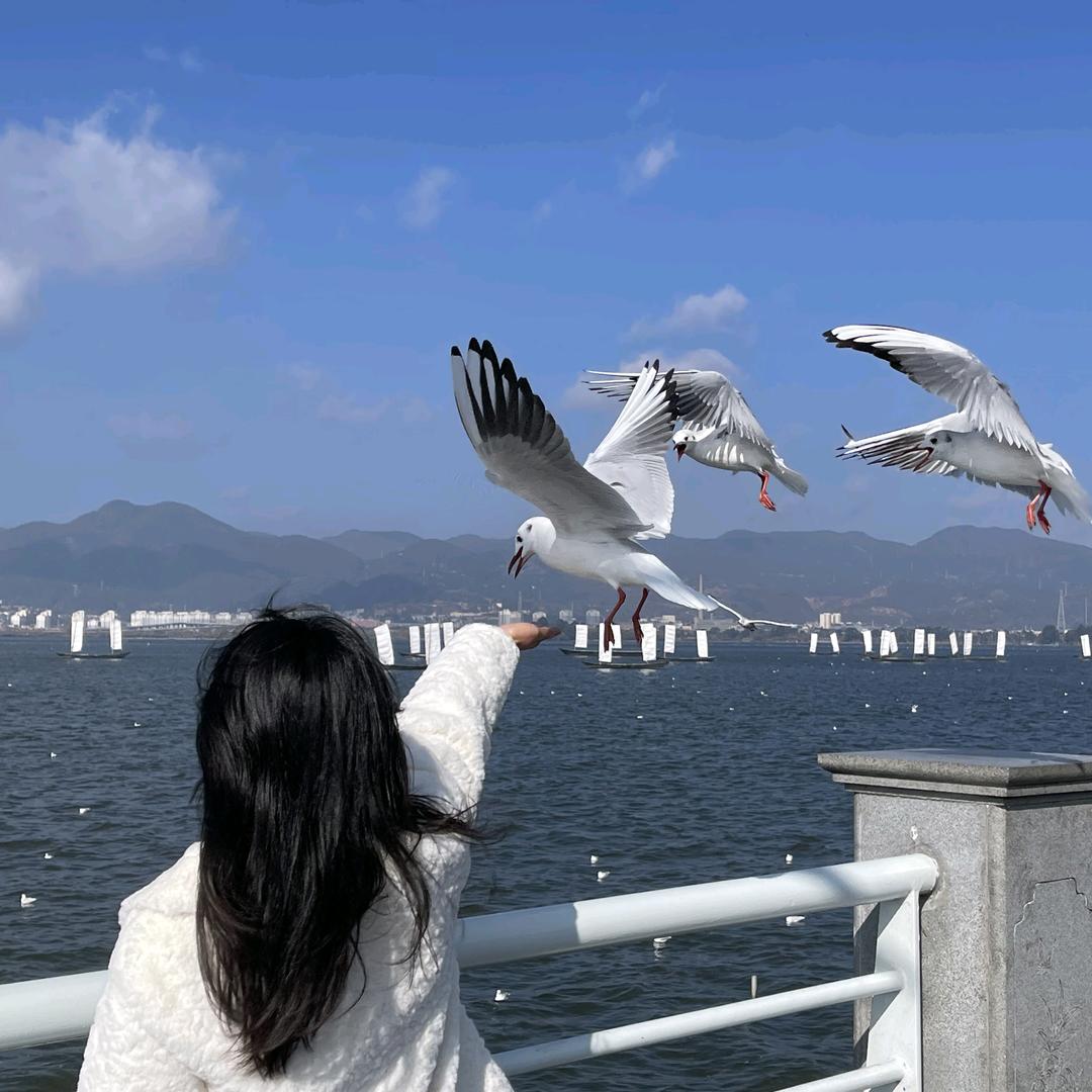 黄森淼
