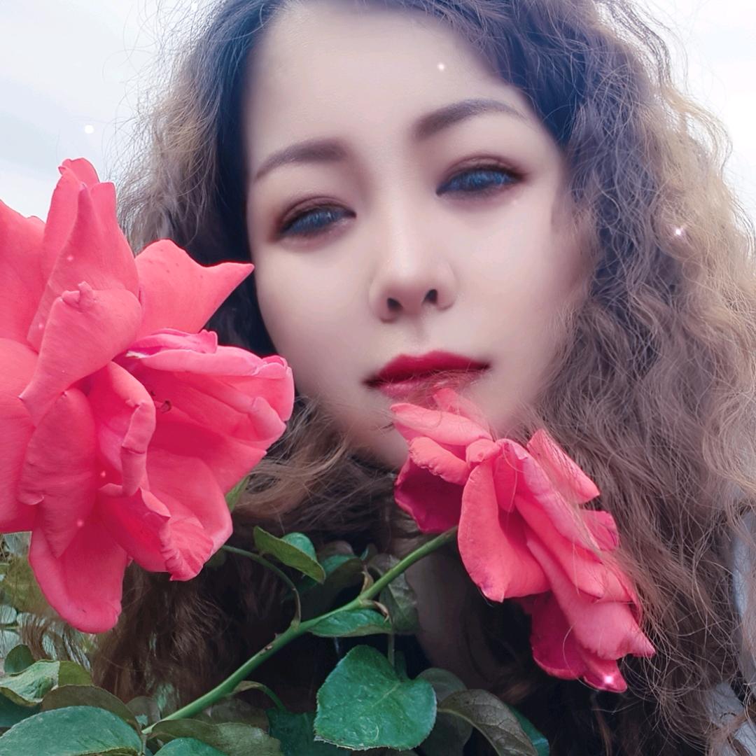 红玫瑰🌹