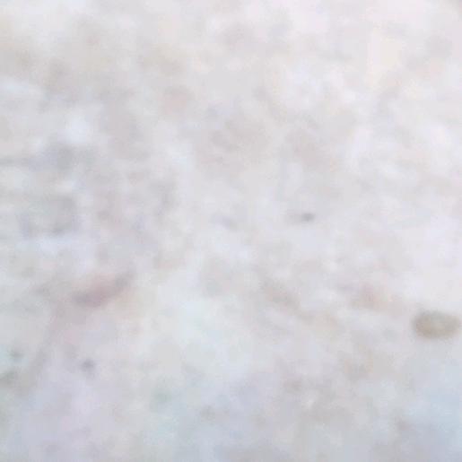 没心没肺