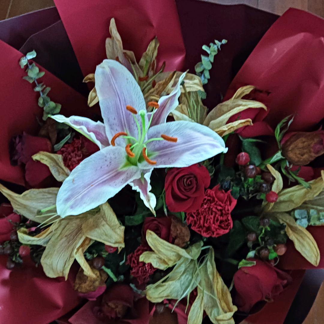 🌹姐寻缘