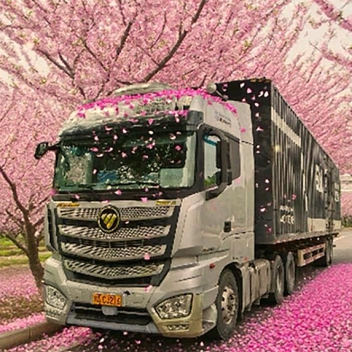 看淡人生