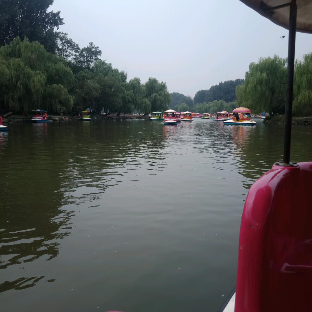 看好未来