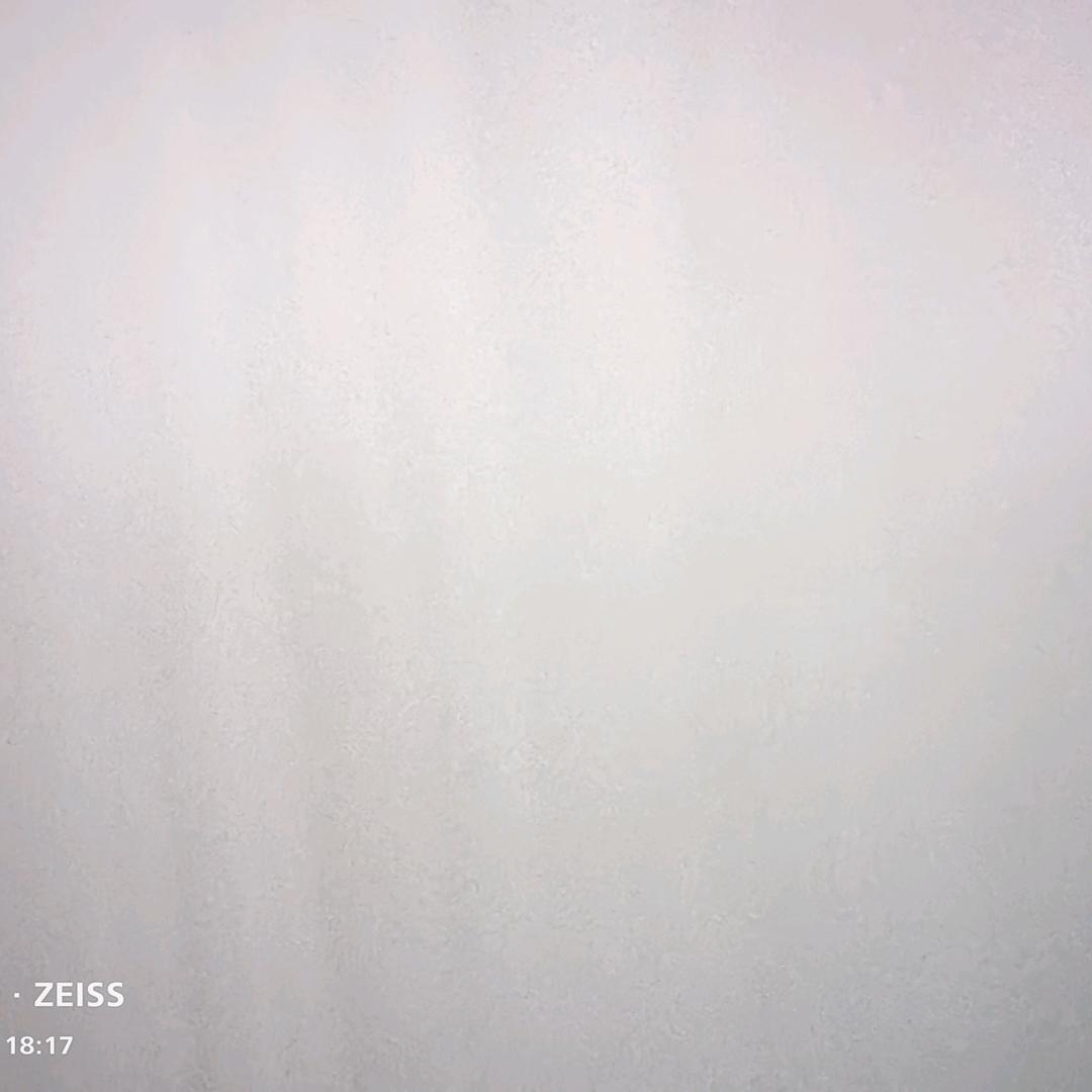 晓彤