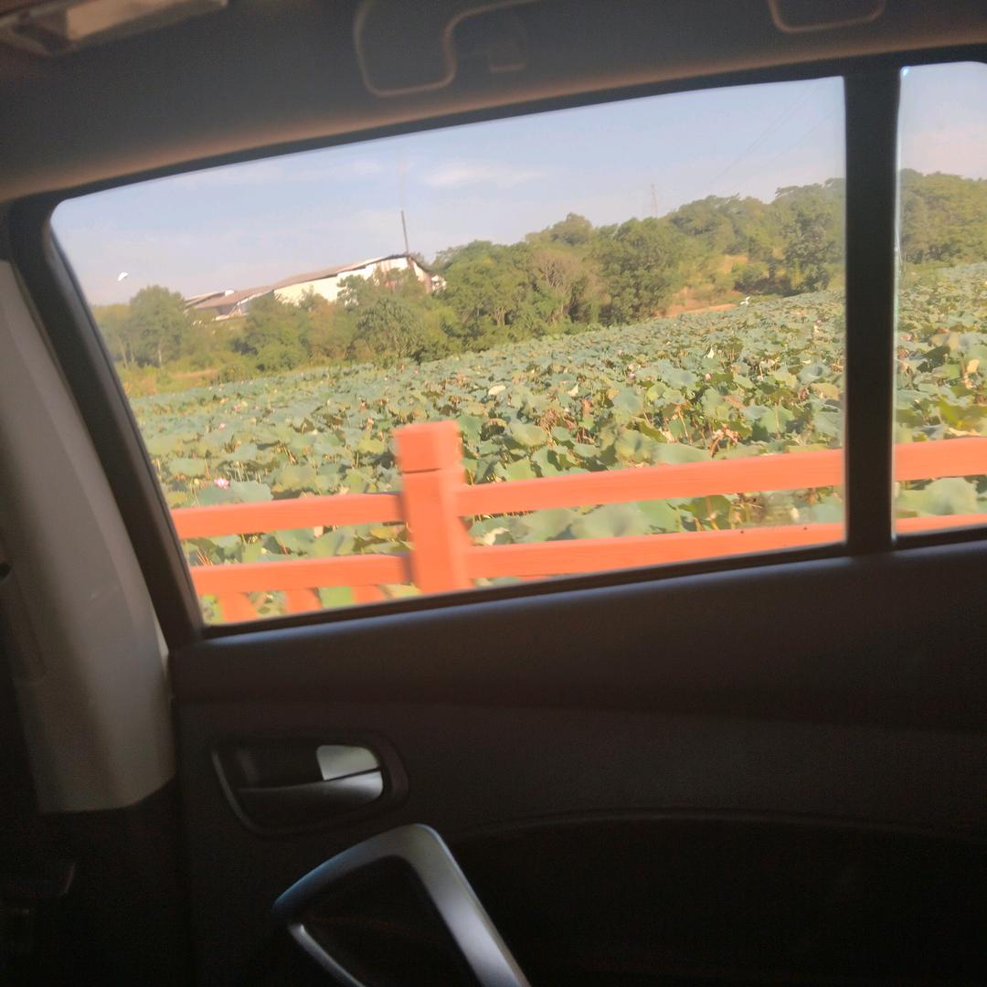 一生有你