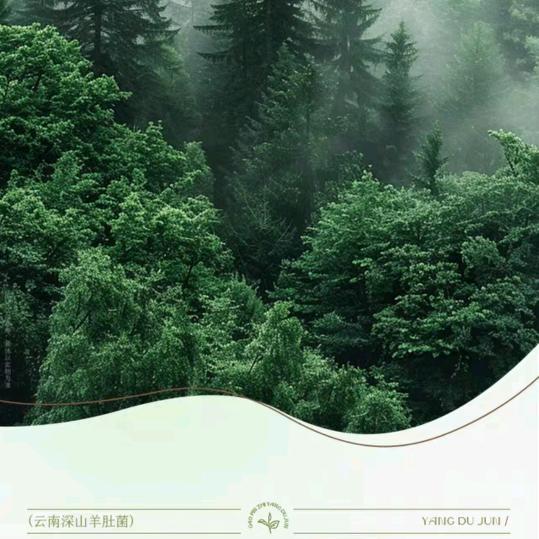 用户23567899999米