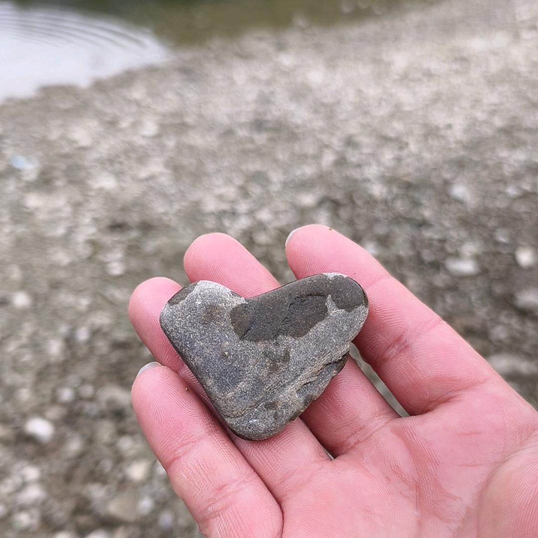 杨光灿烂✩*:.˶˃ ᵕ ˂˵ .:*✩