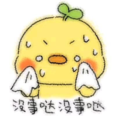 鸭鸭