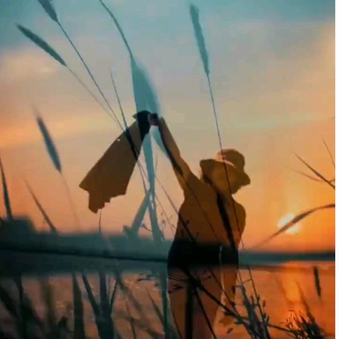 ╭☁云朵☁🌛╰)╮