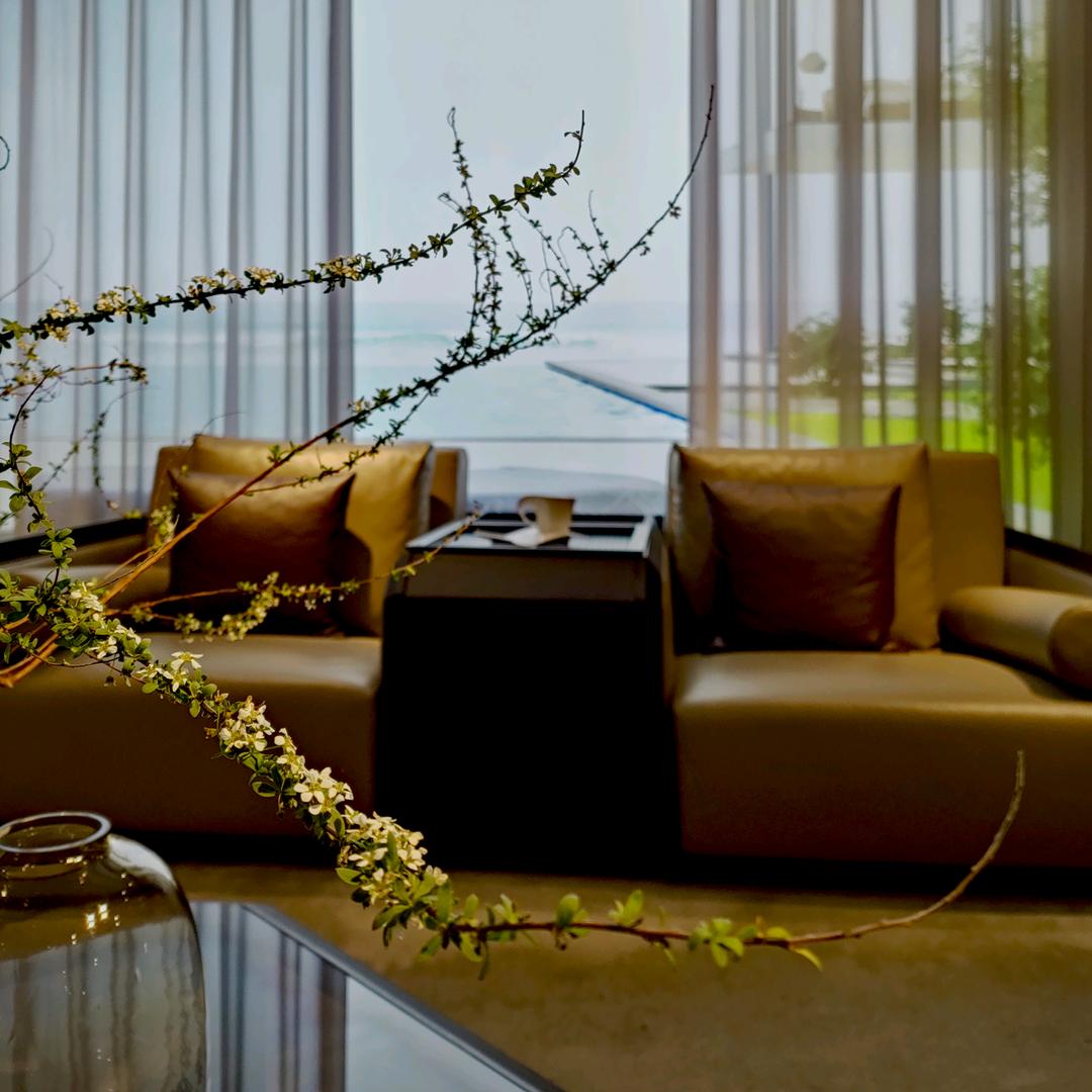 居然小虾虾(互)