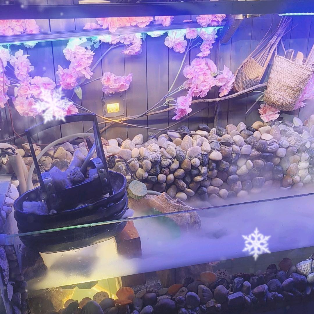 小雨的楼顶花园