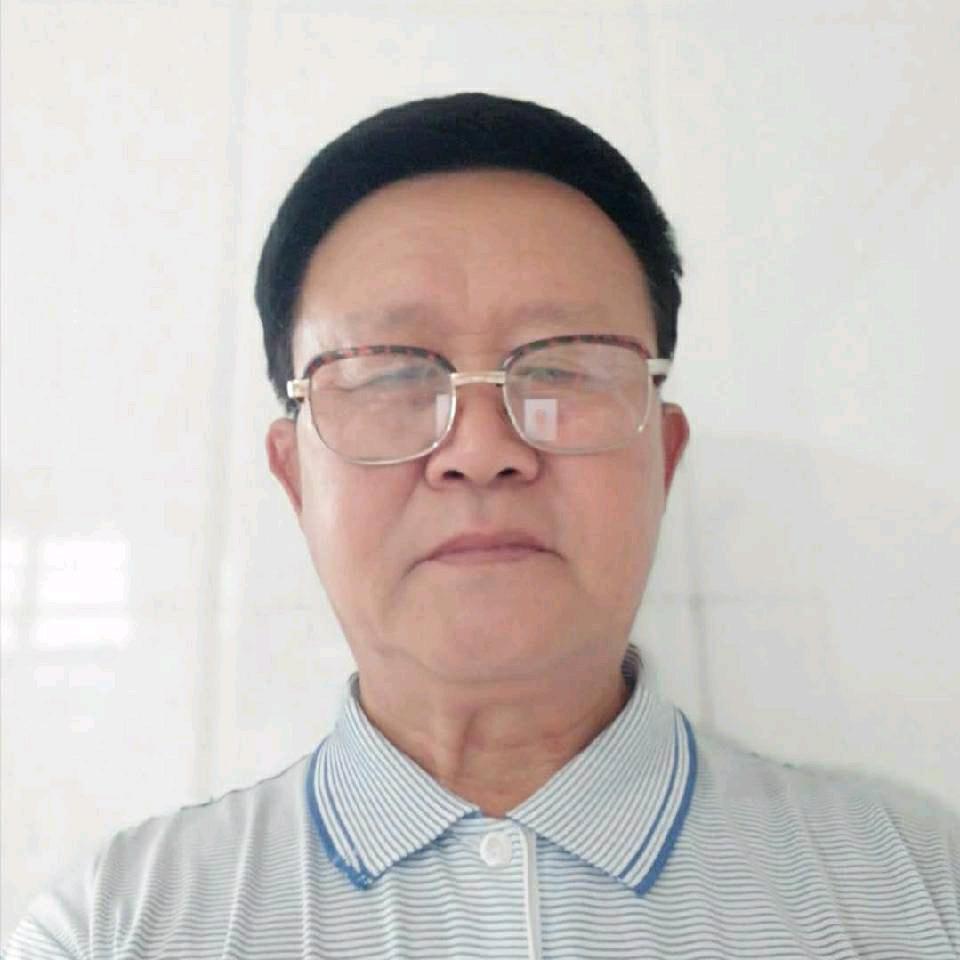 青松不老